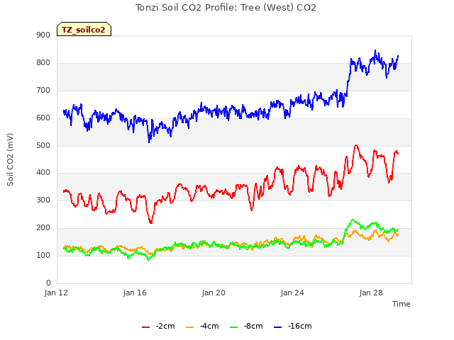 Explore the graph:Tonzi Soil CO2 Profile: Tree (West) CO2 in a new window