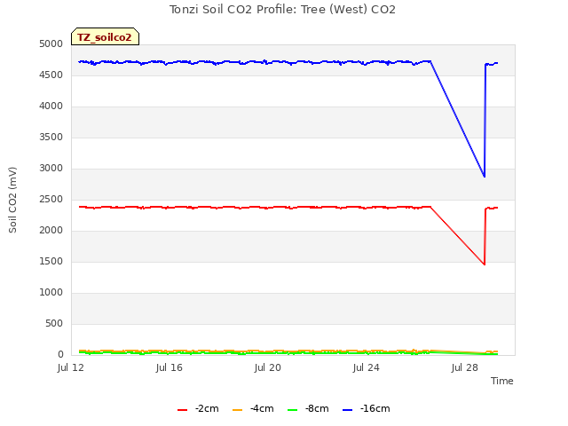 Explore the graph:Tonzi Soil CO2 Profile: Tree (West) CO2 in a new window