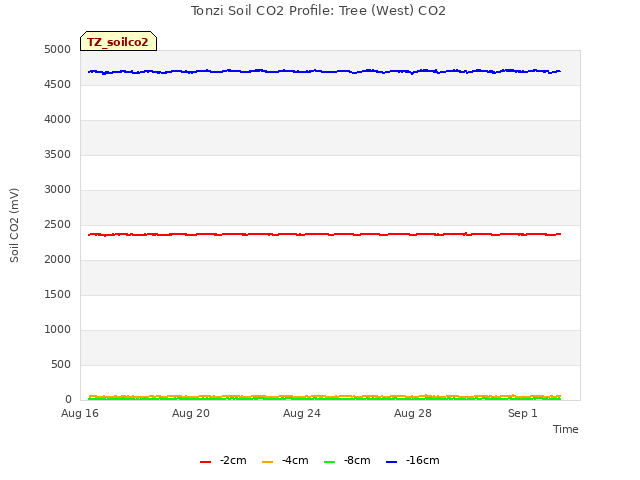 Explore the graph:Tonzi Soil CO2 Profile: Tree (West) CO2 in a new window