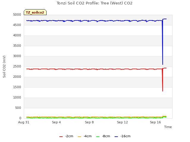 Explore the graph:Tonzi Soil CO2 Profile: Tree (West) CO2 in a new window