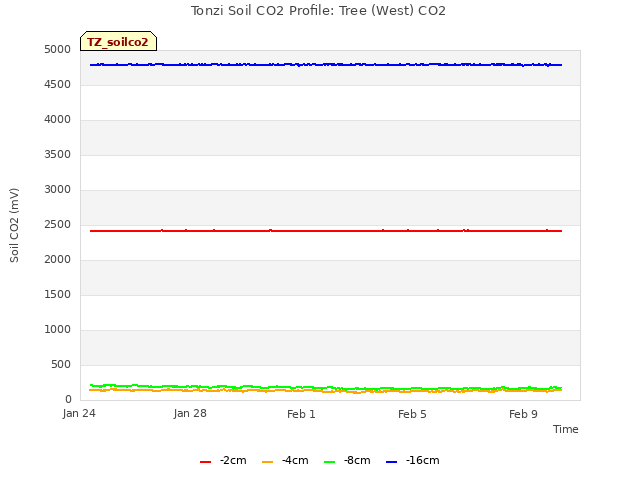 Explore the graph:Tonzi Soil CO2 Profile: Tree (West) CO2 in a new window