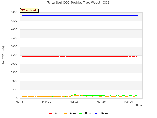 Explore the graph:Tonzi Soil CO2 Profile: Tree (West) CO2 in a new window