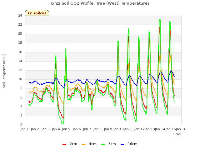 plot of Tonzi Soil CO2 Profile: Tree (West) Temperatures