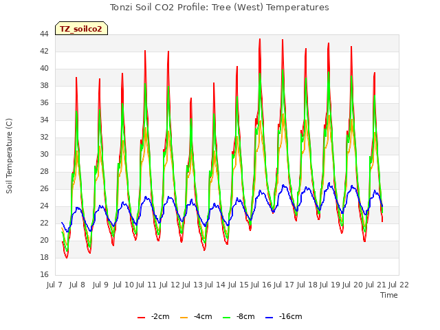 plot of Tonzi Soil CO2 Profile: Tree (West) Temperatures