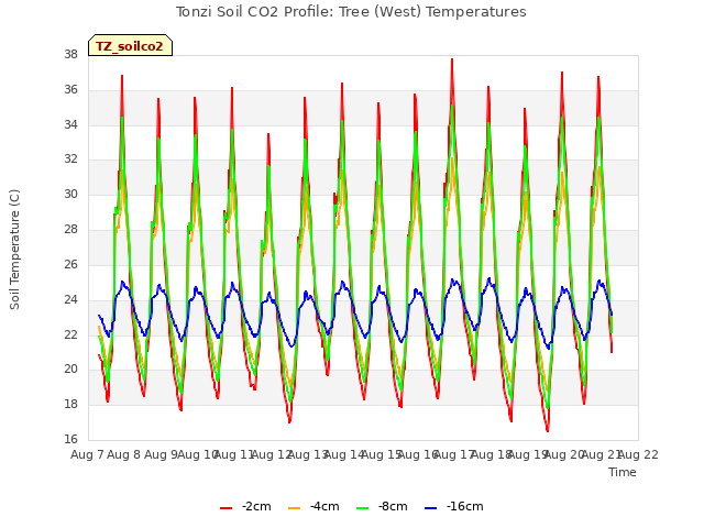 plot of Tonzi Soil CO2 Profile: Tree (West) Temperatures