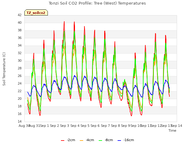 plot of Tonzi Soil CO2 Profile: Tree (West) Temperatures