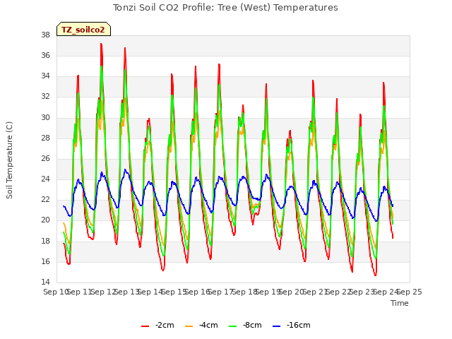 plot of Tonzi Soil CO2 Profile: Tree (West) Temperatures