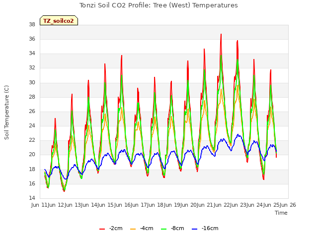 plot of Tonzi Soil CO2 Profile: Tree (West) Temperatures