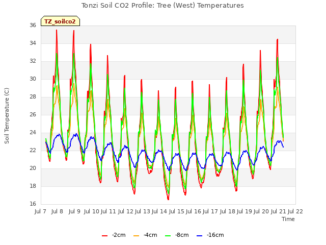 plot of Tonzi Soil CO2 Profile: Tree (West) Temperatures