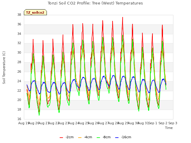 plot of Tonzi Soil CO2 Profile: Tree (West) Temperatures