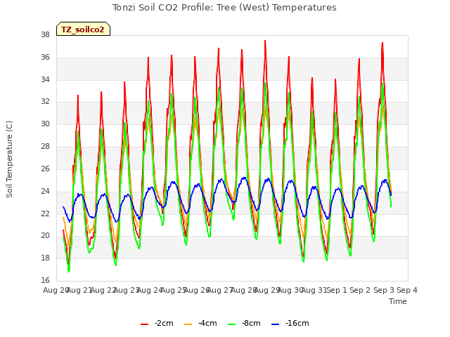 plot of Tonzi Soil CO2 Profile: Tree (West) Temperatures