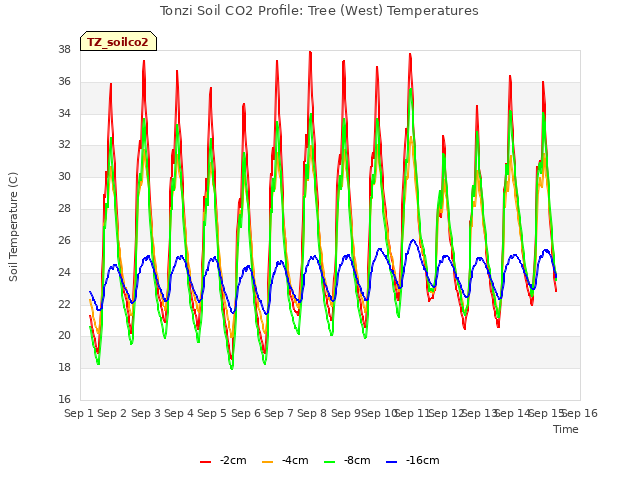 plot of Tonzi Soil CO2 Profile: Tree (West) Temperatures