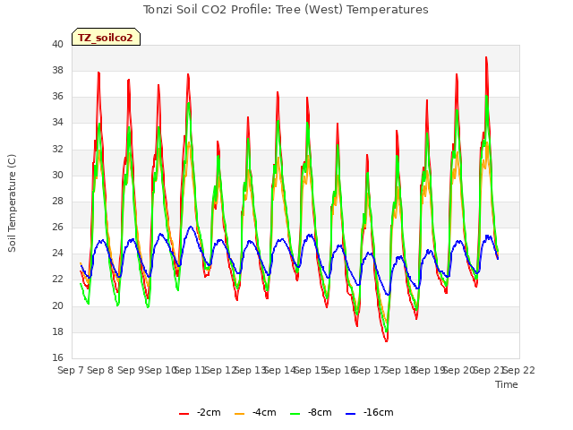 plot of Tonzi Soil CO2 Profile: Tree (West) Temperatures