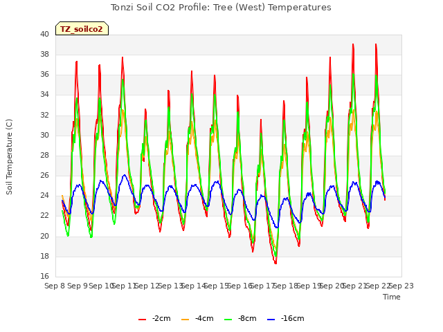 plot of Tonzi Soil CO2 Profile: Tree (West) Temperatures