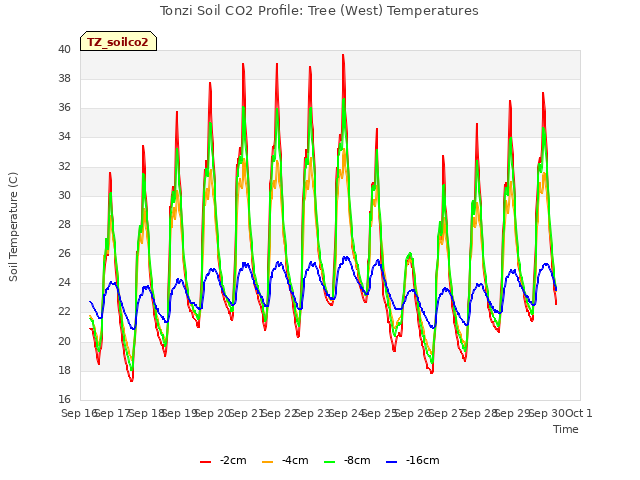 plot of Tonzi Soil CO2 Profile: Tree (West) Temperatures