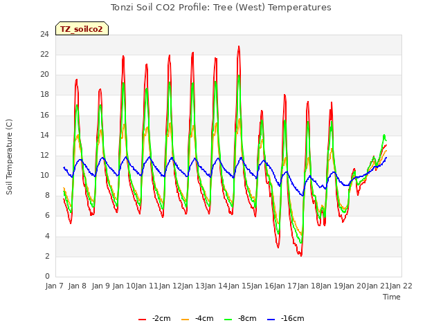 plot of Tonzi Soil CO2 Profile: Tree (West) Temperatures