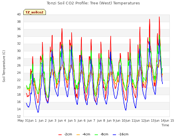 plot of Tonzi Soil CO2 Profile: Tree (West) Temperatures