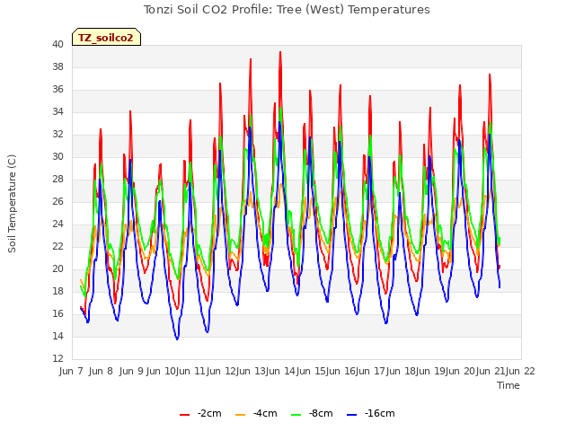 plot of Tonzi Soil CO2 Profile: Tree (West) Temperatures