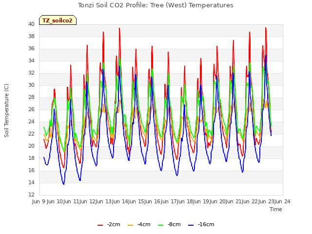 plot of Tonzi Soil CO2 Profile: Tree (West) Temperatures