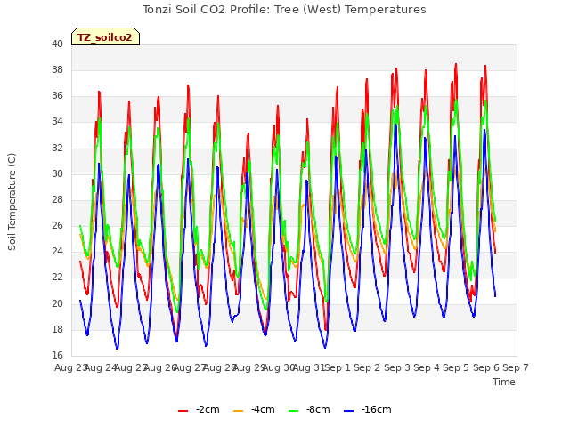 plot of Tonzi Soil CO2 Profile: Tree (West) Temperatures