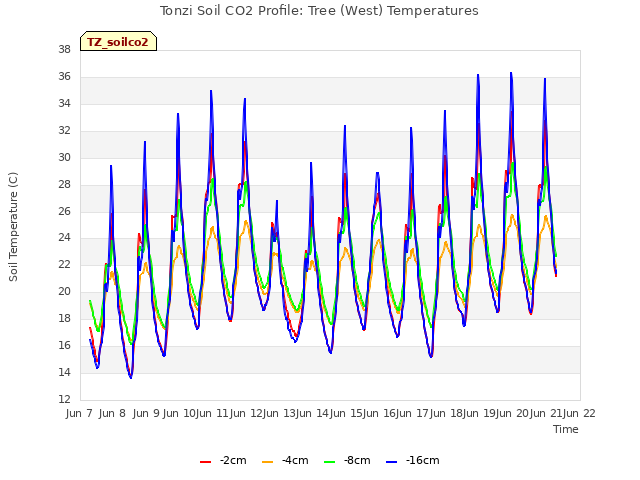 plot of Tonzi Soil CO2 Profile: Tree (West) Temperatures