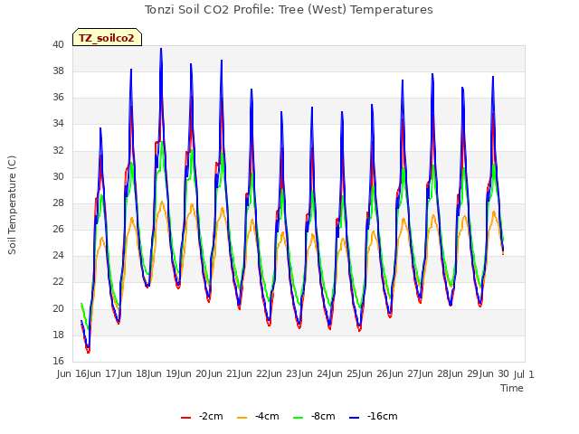 plot of Tonzi Soil CO2 Profile: Tree (West) Temperatures