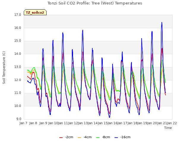 plot of Tonzi Soil CO2 Profile: Tree (West) Temperatures