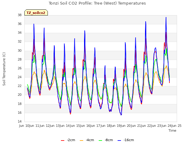 plot of Tonzi Soil CO2 Profile: Tree (West) Temperatures