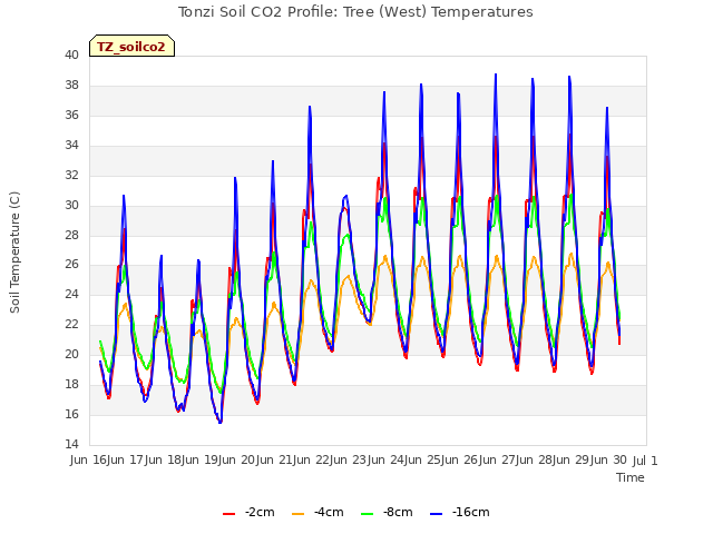 plot of Tonzi Soil CO2 Profile: Tree (West) Temperatures