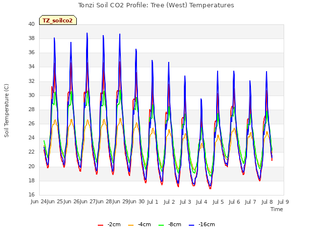 plot of Tonzi Soil CO2 Profile: Tree (West) Temperatures