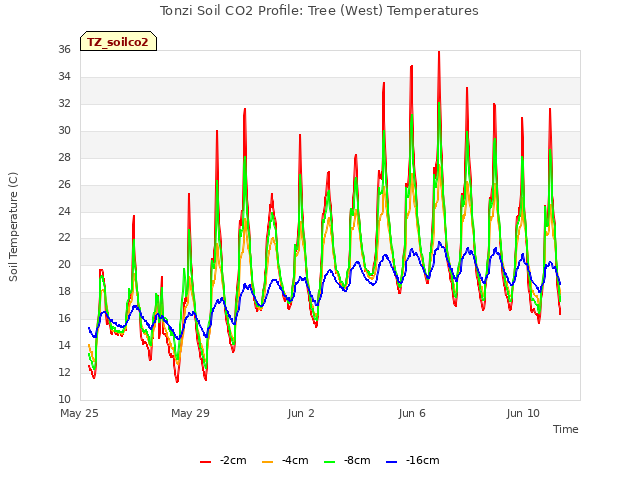 Explore the graph:Tonzi Soil CO2 Profile: Tree (West) Temperatures in a new window