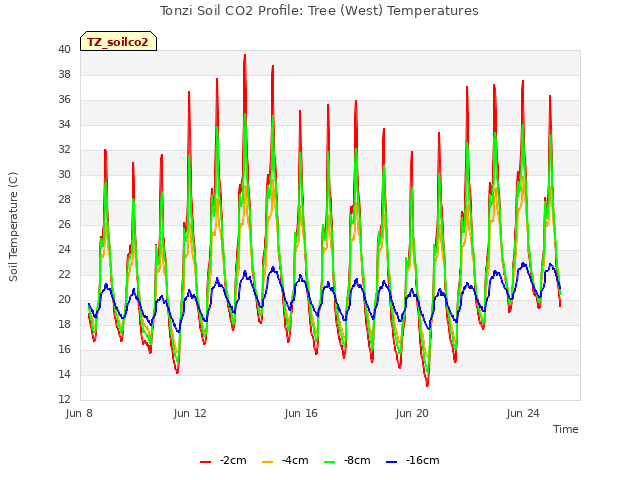 Explore the graph:Tonzi Soil CO2 Profile: Tree (West) Temperatures in a new window