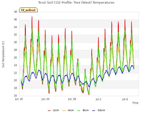Explore the graph:Tonzi Soil CO2 Profile: Tree (West) Temperatures in a new window