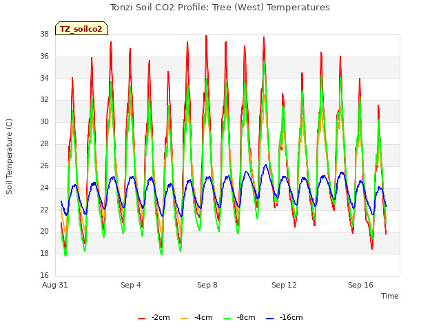 Explore the graph:Tonzi Soil CO2 Profile: Tree (West) Temperatures in a new window