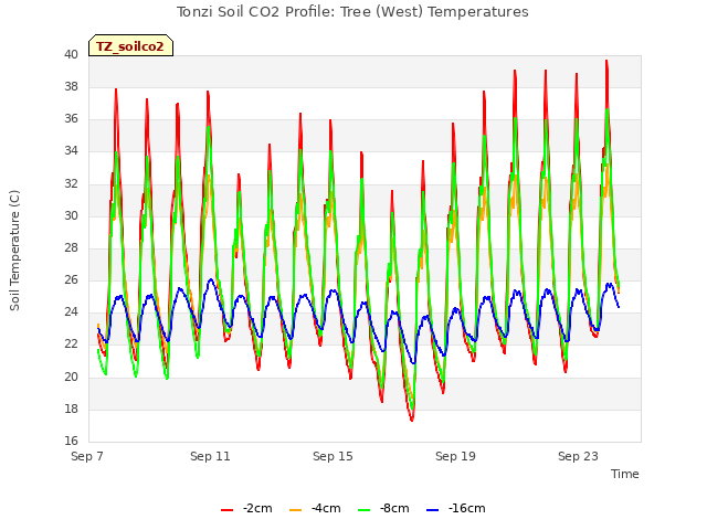 Explore the graph:Tonzi Soil CO2 Profile: Tree (West) Temperatures in a new window