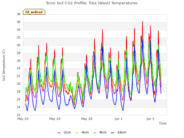 Explore the graph:Tonzi Soil CO2 Profile: Tree (West) Temperatures in a new window