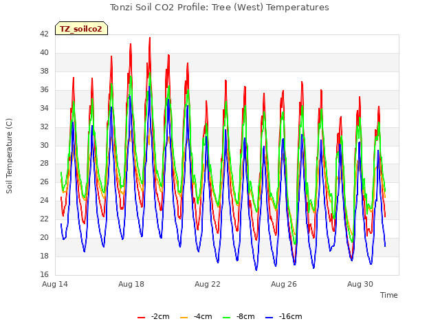 Explore the graph:Tonzi Soil CO2 Profile: Tree (West) Temperatures in a new window