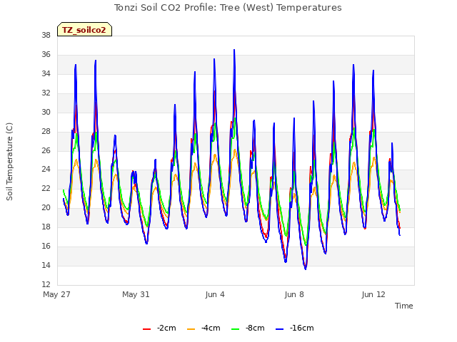 Explore the graph:Tonzi Soil CO2 Profile: Tree (West) Temperatures in a new window