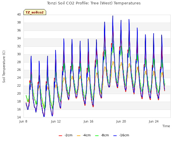 Explore the graph:Tonzi Soil CO2 Profile: Tree (West) Temperatures in a new window