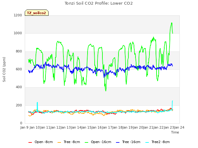 plot of Tonzi Soil CO2 Profile: Lower CO2