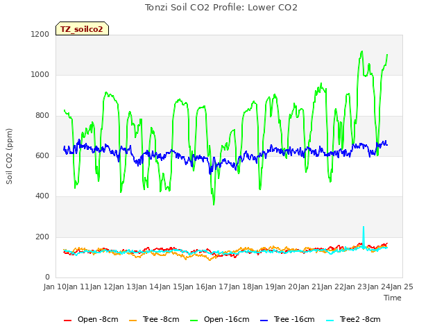 plot of Tonzi Soil CO2 Profile: Lower CO2