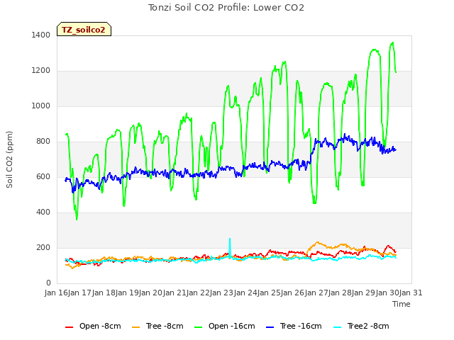 plot of Tonzi Soil CO2 Profile: Lower CO2