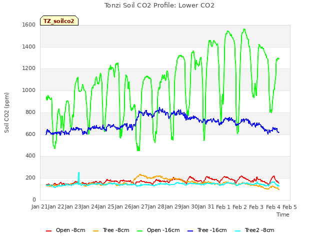 plot of Tonzi Soil CO2 Profile: Lower CO2