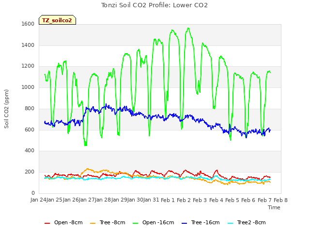 plot of Tonzi Soil CO2 Profile: Lower CO2