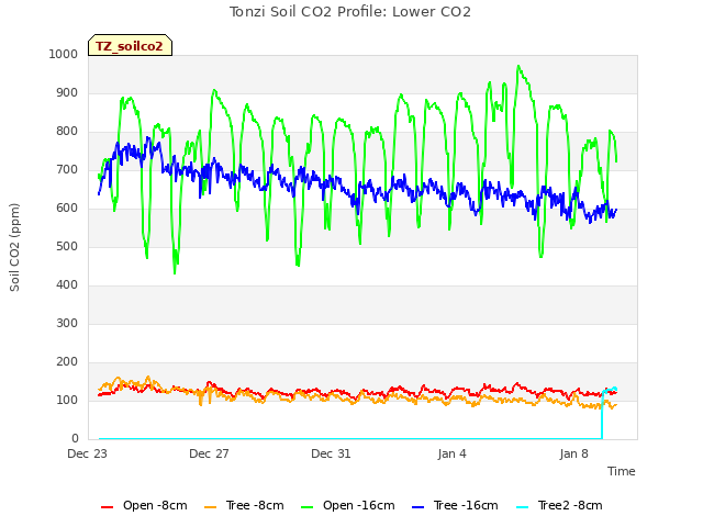 Explore the graph:Tonzi Soil CO2 Profile: Lower CO2 in a new window