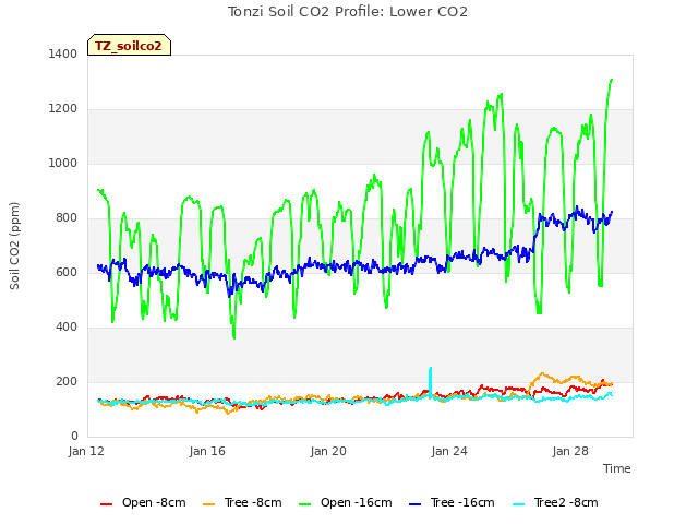 Explore the graph:Tonzi Soil CO2 Profile: Lower CO2 in a new window