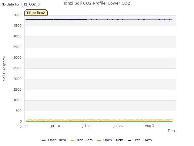 Graph showing Tonzi Soil CO2 Profile: Lower CO2