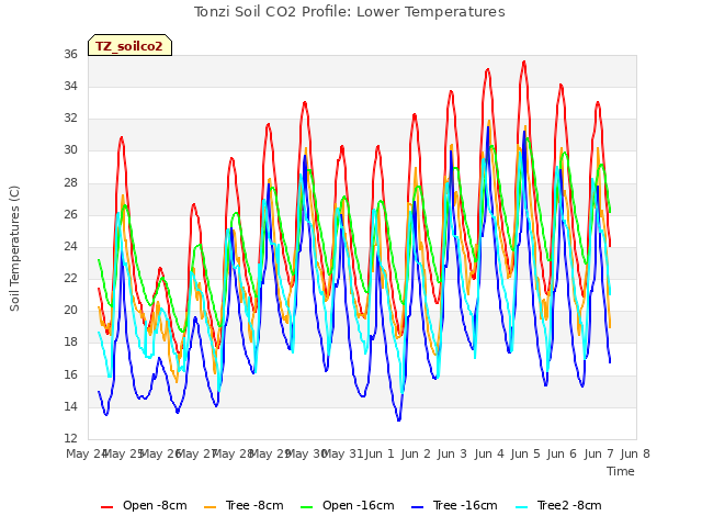 plot of Tonzi Soil CO2 Profile: Lower Temperatures