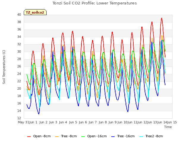 plot of Tonzi Soil CO2 Profile: Lower Temperatures