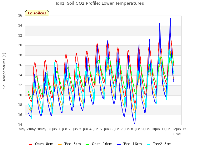 plot of Tonzi Soil CO2 Profile: Lower Temperatures